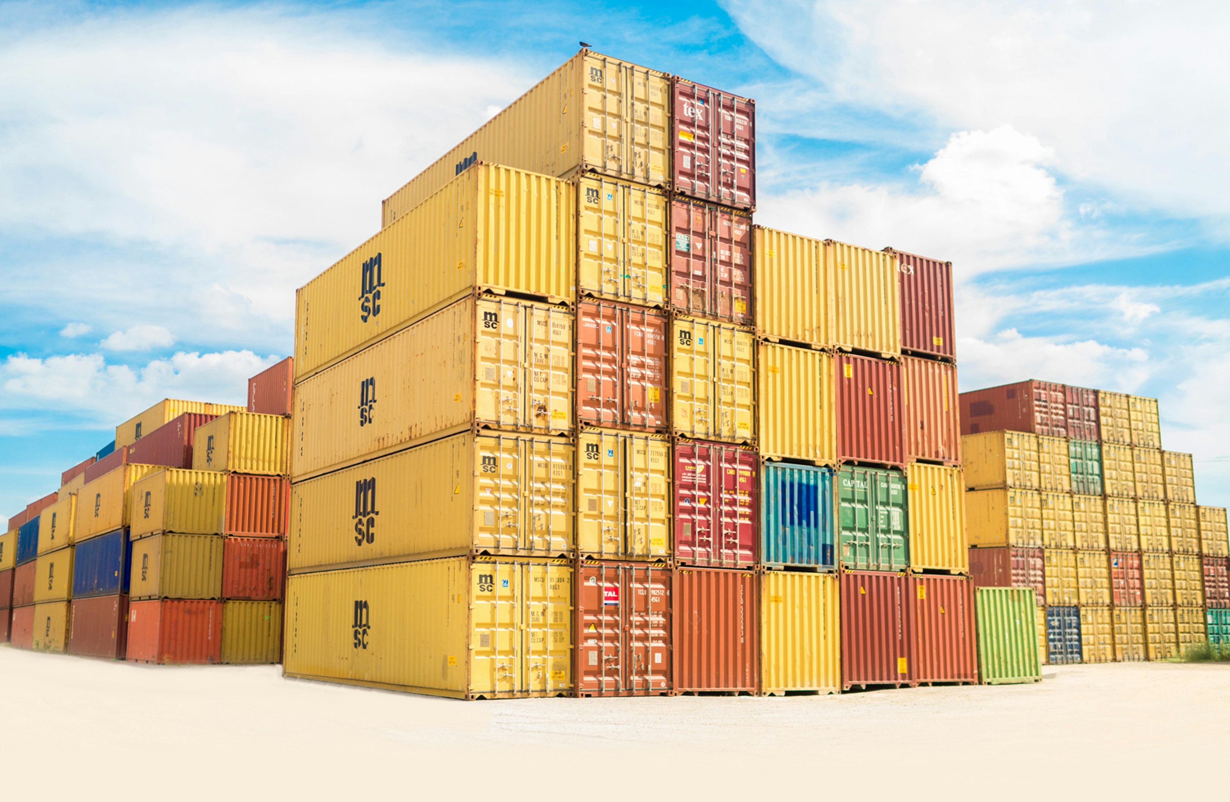 Customize Shipping Solution